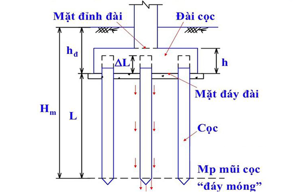 Hình ảnh mô tả kết cấu móng cọc.