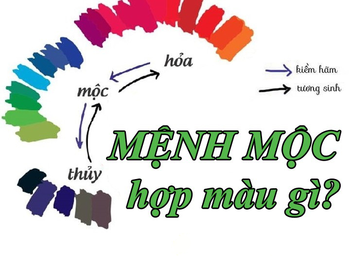 Mệnh Mộc hợp màu xanh lá cây, xanh dương và đen để tạo nên sự cân bằng và thịnh vượng trong cuộc sống.